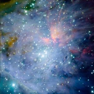 Meet your Posher, Livi